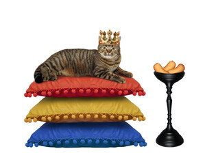 A beige cat in a crown is lying on a stack of pillows near a bowl with sausage. White background. Isolated.