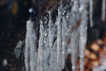 icicles on dark winter day hanging from rock