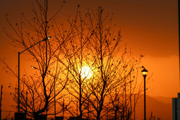 The sun at its point 