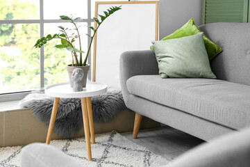 Interior of light living room with sofa, coffee table and houseplant