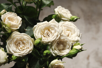 Bouquet of beautiful fresh roses on light background, closeup