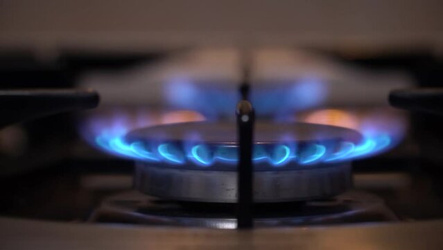 kitchen gas cooker with burning fire propane gas.Blue natural Gas Flame