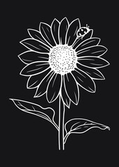 sunflower with a ladybug in black and white vector illustration on black background 