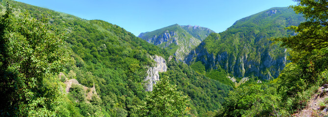 Carpathian Mountains landscape,  thick forest