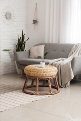 Pouf with houseplant and comfortable sofa in light room interior