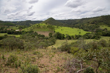 Brazilian tropical rural scene, with mountains and green fields. 