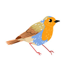 Cute robin bird isolated on white background. Vector flat illustration