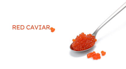 fresh grained red chum salmon caviar in metallic spoon, white background