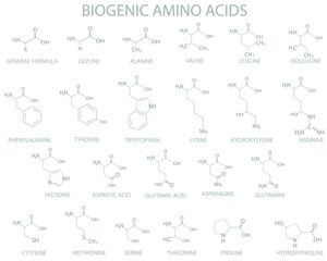  Biogenic amino acids molecular skeletal chemical formula.	
