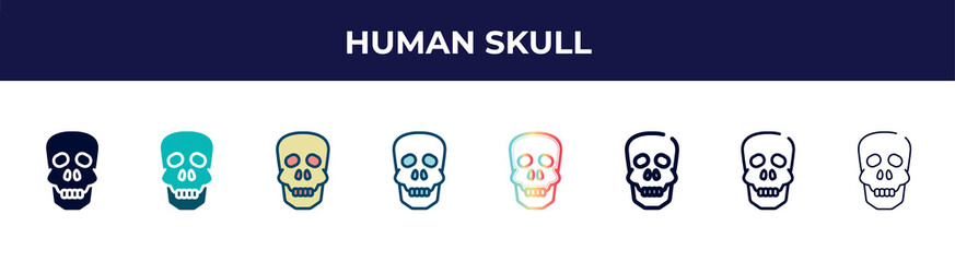 human skull icon in 8 styles. line, filled, glyph, thin outline, colorful, stroke and gradient styles, human skull vector sign. symbol, logo illustration. different style icons set.