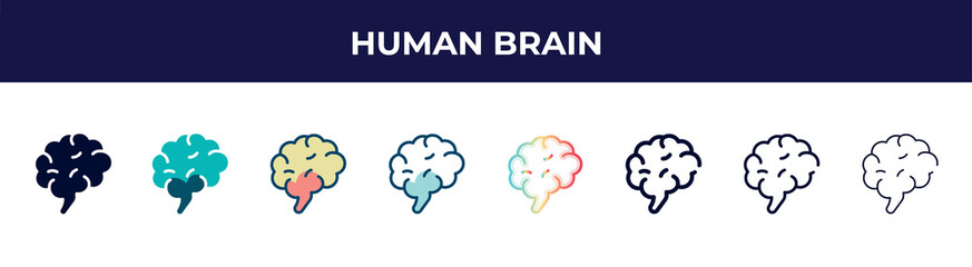 human brain icon in 8 styles. line, filled, glyph, thin outline, colorful, stroke and gradient styles, human brain vector sign. symbol, logo illustration. different style icons set.