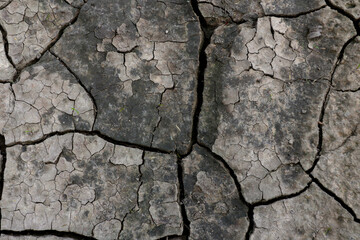 Background cracks in the ground after an earthquake or volcanic eruption.