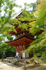 浄瑠璃寺　三重塔　京都府木津川市