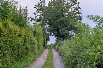 Dirt track through countryside