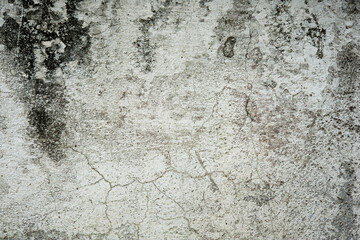 Stone Texture Close Up Wall