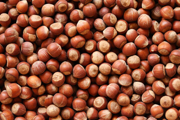 Photo of hazelnut, filbert. Hazelnut nut health organic brown filbert autumn background concept. Food background. Fresh organic filbert. Nuts macro.