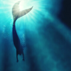 A silhouette shot of a mermaid swimming in solitude in the deep blue sea - ALL design on this image...