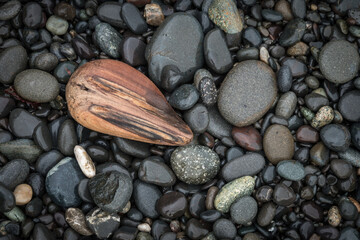 Pebbles and Driftwood, Rialto Beach - obrazy, fototapety, plakaty