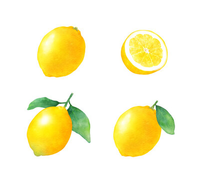 レモン素材 の画像 32 610 件の Stock 写真 ベクターおよびビデオ Adobe Stock