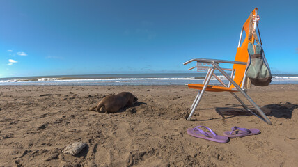 Fototapeta na wymiar Dog resting next to a Chair on the beach on the sand, beach bag and flip flops. Blue sky and copy space
