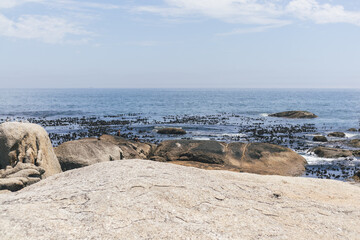 beach and rocks