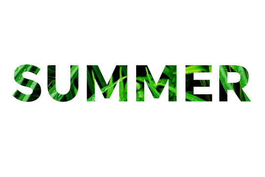 Colorful word summer with images of grass inside the letters on a white background.