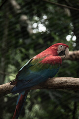 vida en la naturaleza