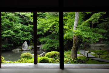 新緑の蓮華寺　書院から見る庭園　京都市左京区