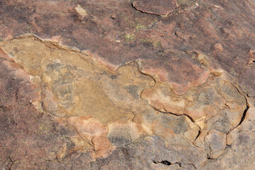 Close-up view of the surface of a big sandstone boulder