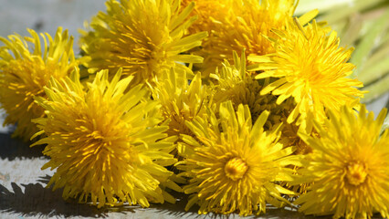 Bouquet of dandelion flowers on wooden background. Dandelions close-up. Texture floral. Spring bouquet