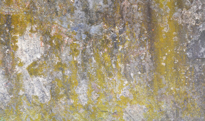 Old grunge concrete wall background or texture.