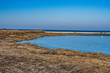 Closeup of The Frozen Bay, Sandy Hook, Gateway National Park, New Jersey, USA