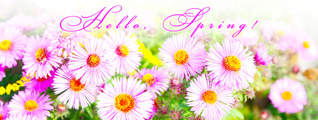Obraz premium Flowers and herbs with word spring. Creative floral composition.