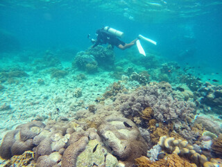 Naklejka na ściany i meble Enjoy moment in the island thru scuba diving activites
