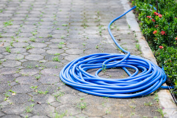 Blue hose for watering plants on the ground