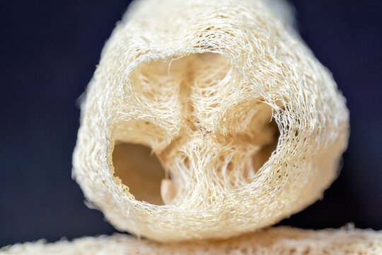 Scrubbing brush made from loofah (Luffa cylindrica)
