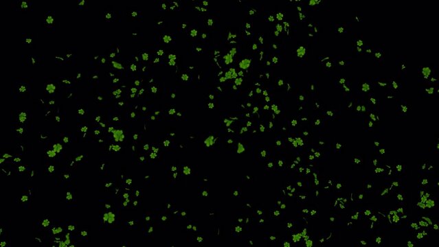 St Patrick&rsquo;s Day Shamrock Burst with Alpha Channel. Element footage place on background.
