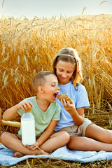 A boy and a girl are sitting on a blanket in a wheat field. The child eats in the fresh air. A walk and a picnic of friends in nature. They eat croissants and drink milk.