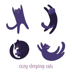 Set of cute and cozy sleeping black cats overhead top view.