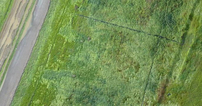 flying over a large field