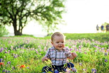 baby boy in field of flowers