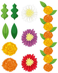 Set of flowers on white background