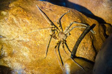 Different Thailand images, streets, markets, temples, buildings, rivers, beaches, and national parks.

