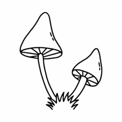 Two poisonous mushrooms on white background. Vector illustration of doodles. Fly agaric and toadstool