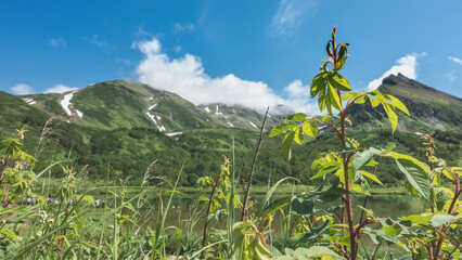 The lake is surrounded by a picturesque mountain range. Lush green vegetation on the shore . Blue sky with clouds. Kamchatka.
