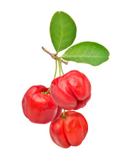 Three Acerola cherry fruits  with green leaves isolated on white background.