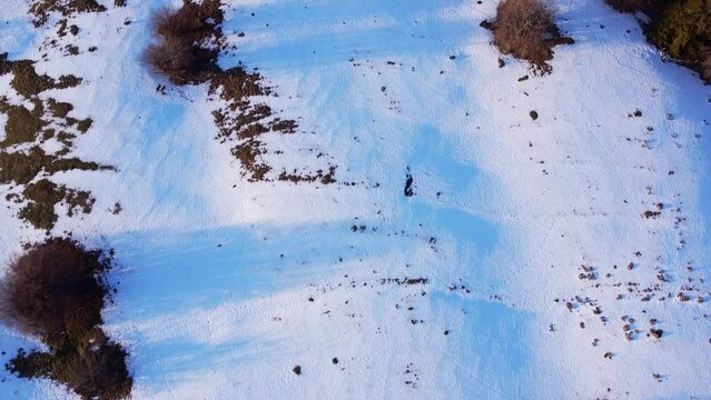 Aerial top down winter mountain landscape with snow at sunset in Le M&eacute;nil Vosges France 4K