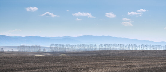 Arable field in early spring, farm landscape, panoramic view