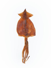 Obraz premium スルメ