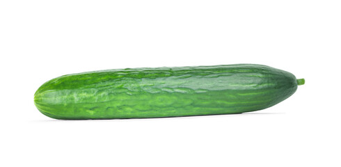 English seedless cucumber isolated on white background with shadow